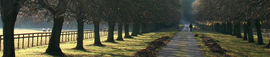 ARROWROAD Financial Planning